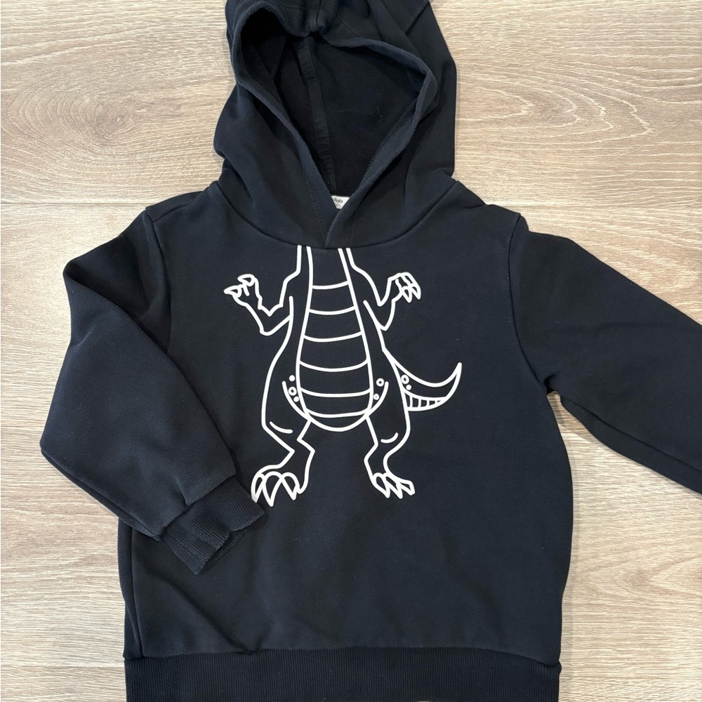 Black Hoodie with Dinosaur Print